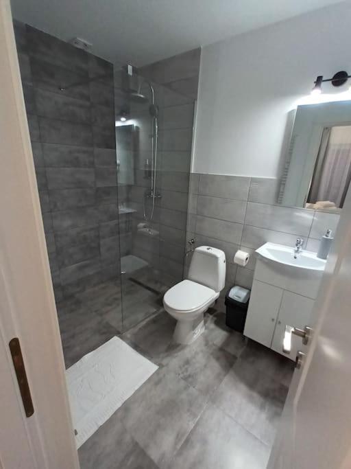Old Town Studio 2 Apartment Nr 4 Baia Mare Bagian luar foto
